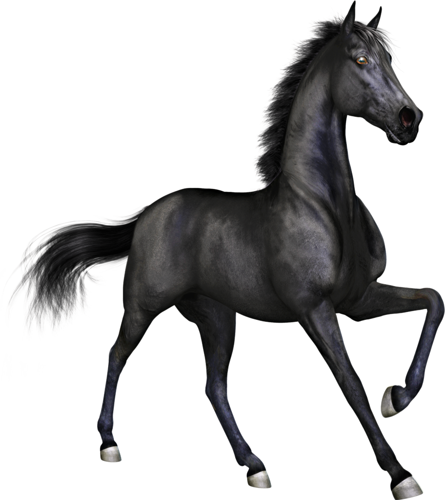 Free Thoroughbred Horse Clipart