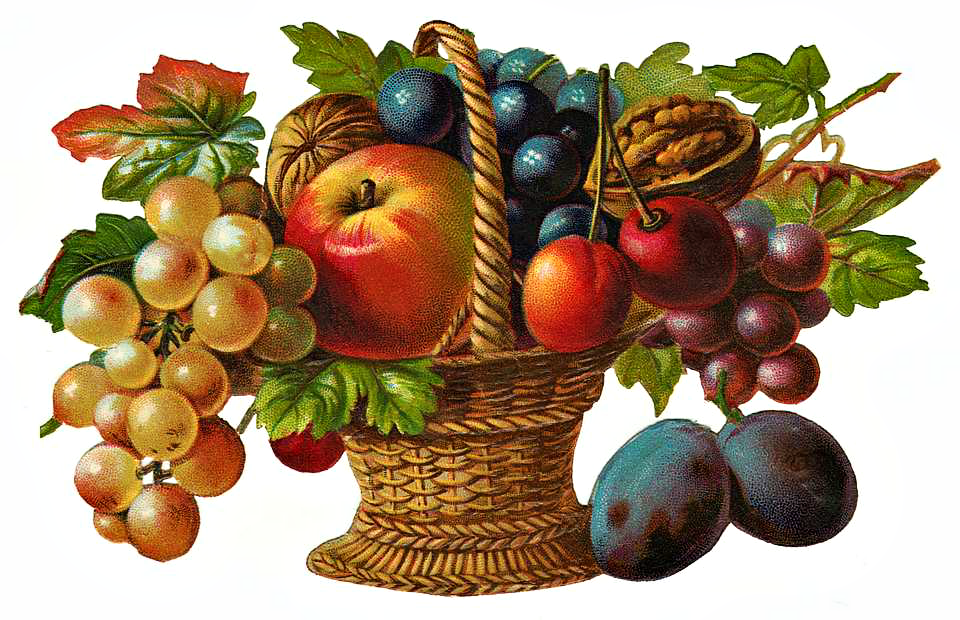 http://www.clipartplace.com/wp-content/uploads/2014/10/ClipArtPlace_Victorian_Fruit_Basket_Clipart.png